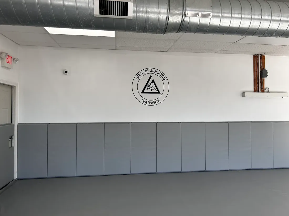From White to Blue Belt: How Progression Works